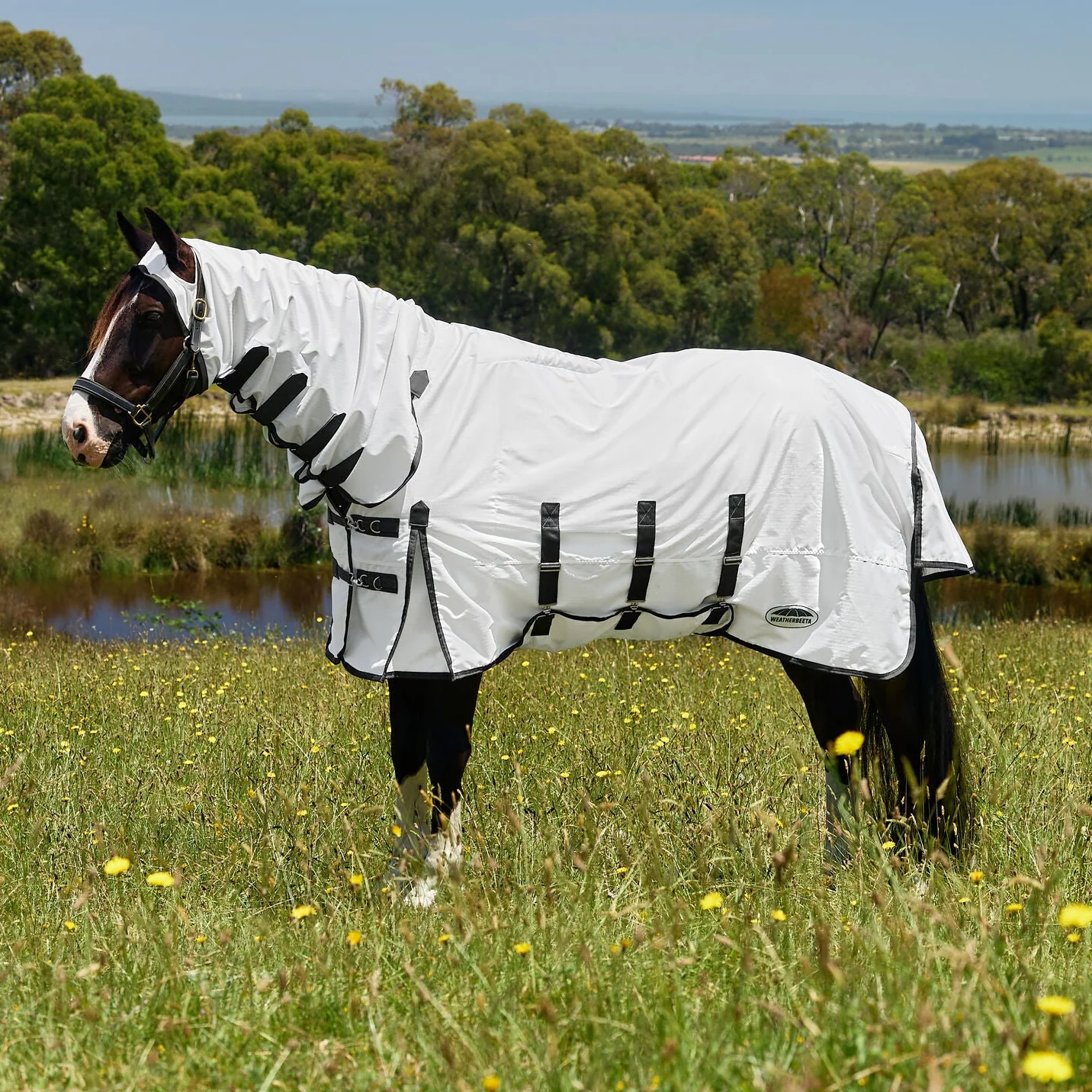 Weatherbeeta Sweet Itch Shield Combo Neck