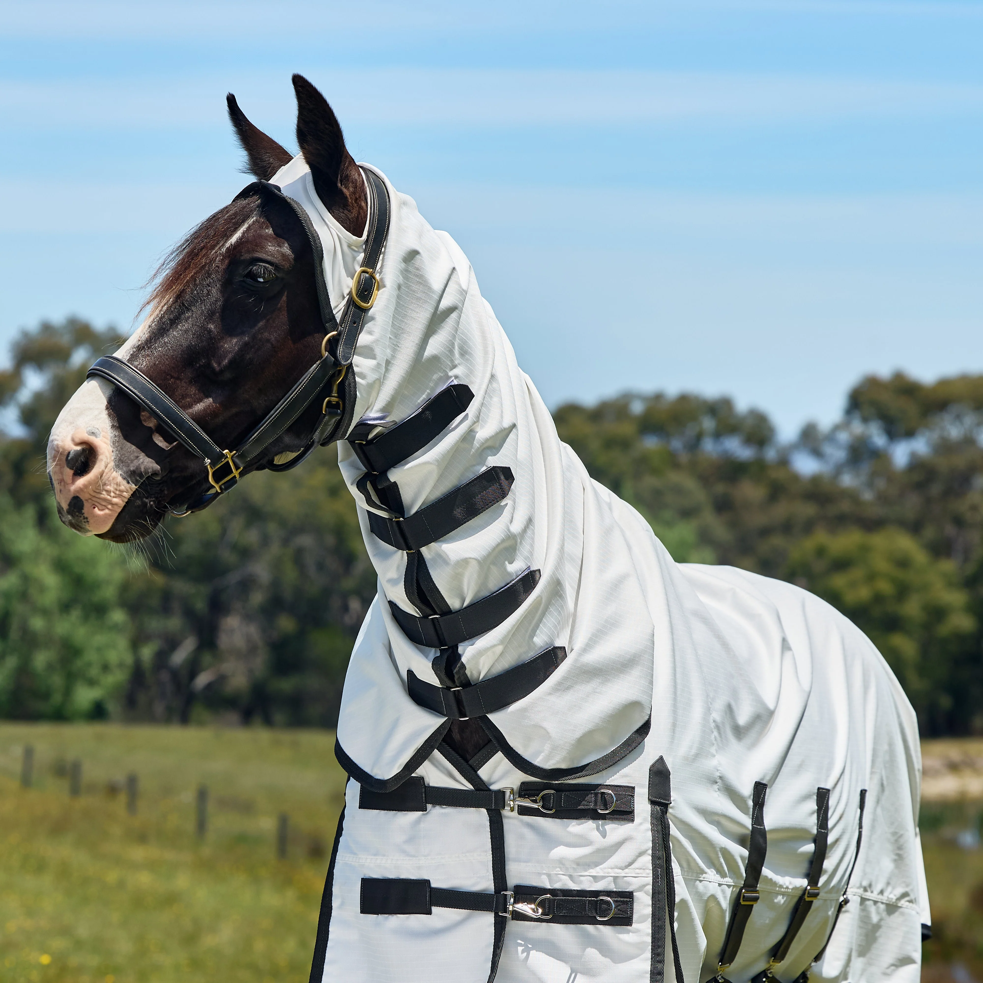 Weatherbeeta Sweet Itch Shield Combo Neck - Image 3