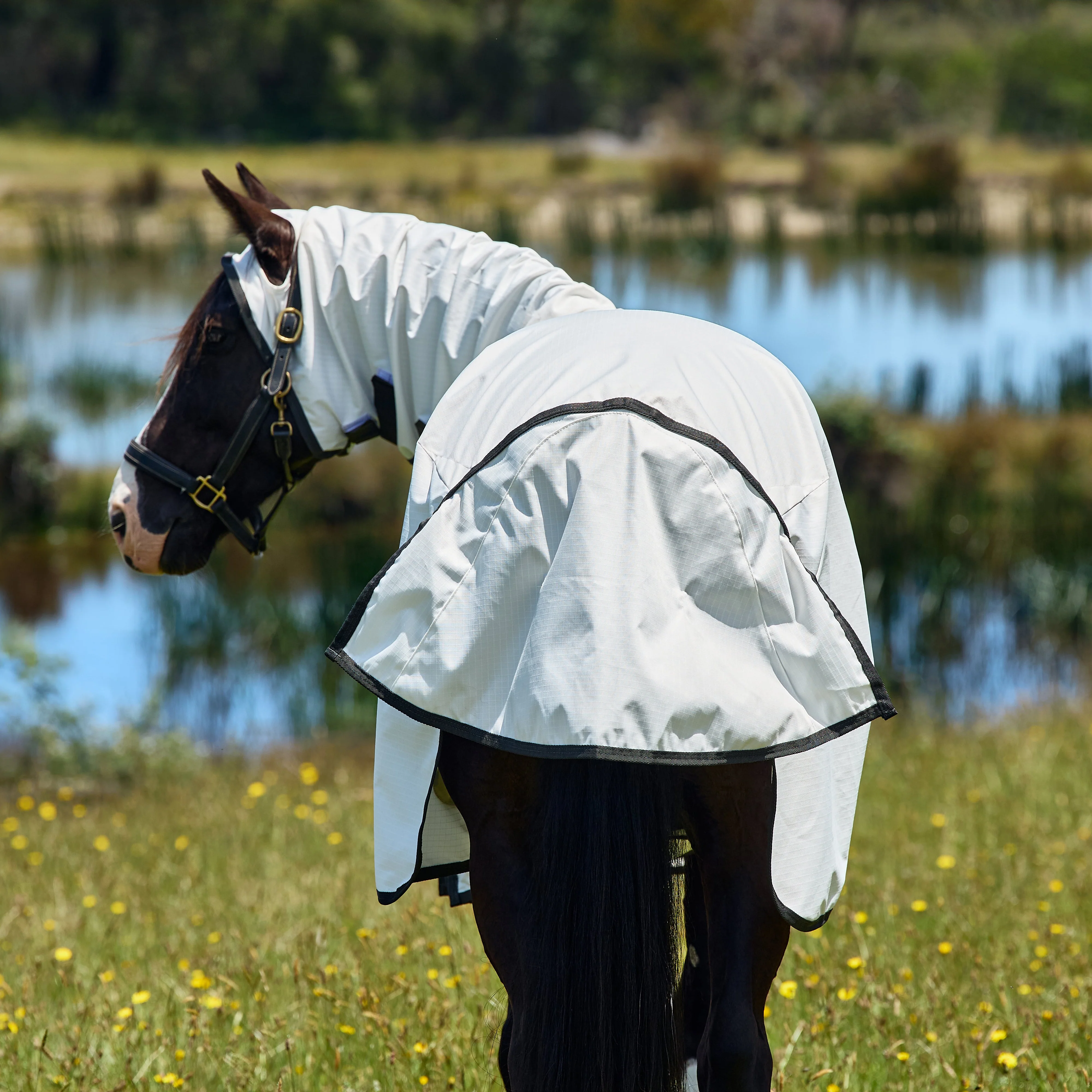 Weatherbeeta Sweet Itch Shield Combo Neck - Image 4