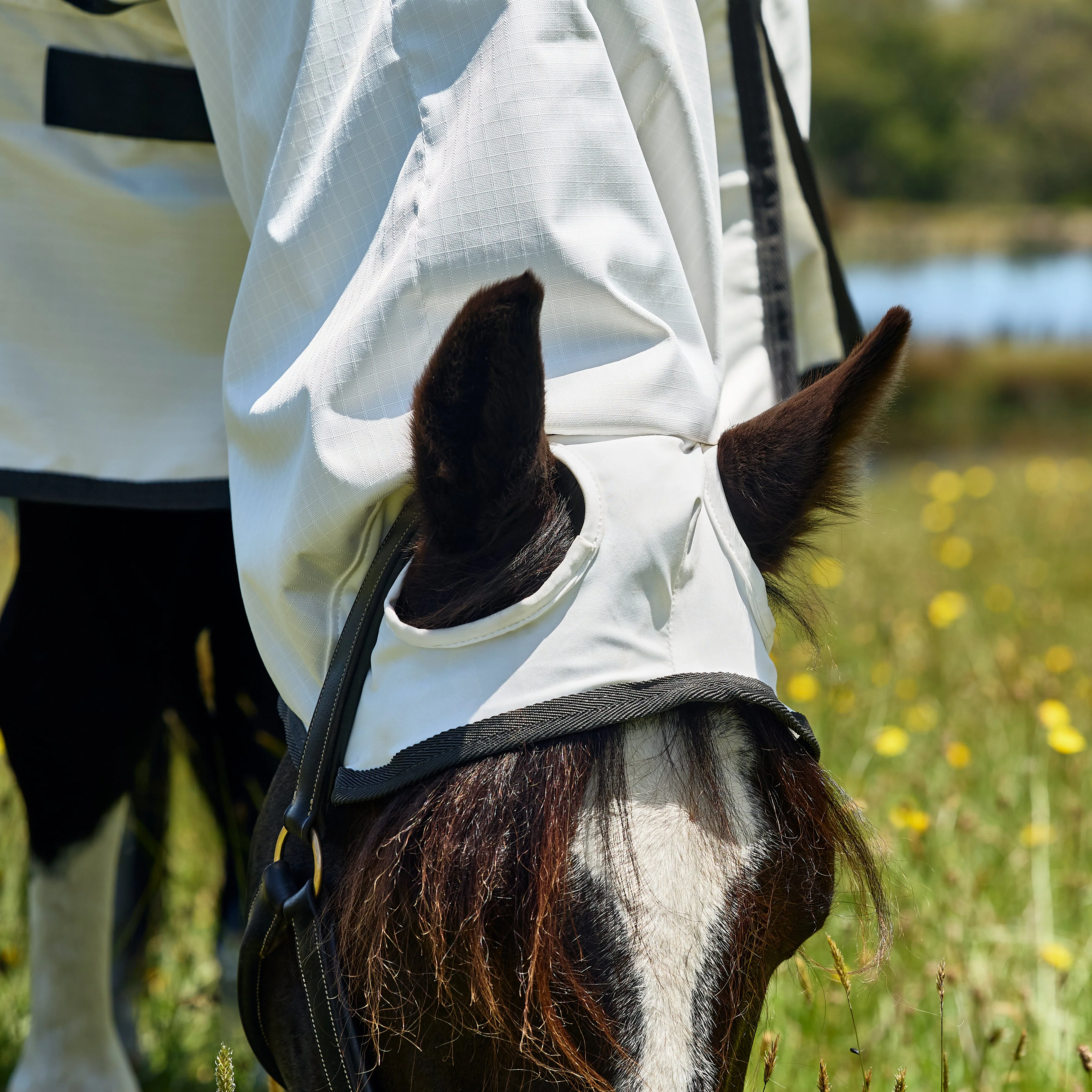 Weatherbeeta Sweet Itch Shield Combo Neck - Image 5