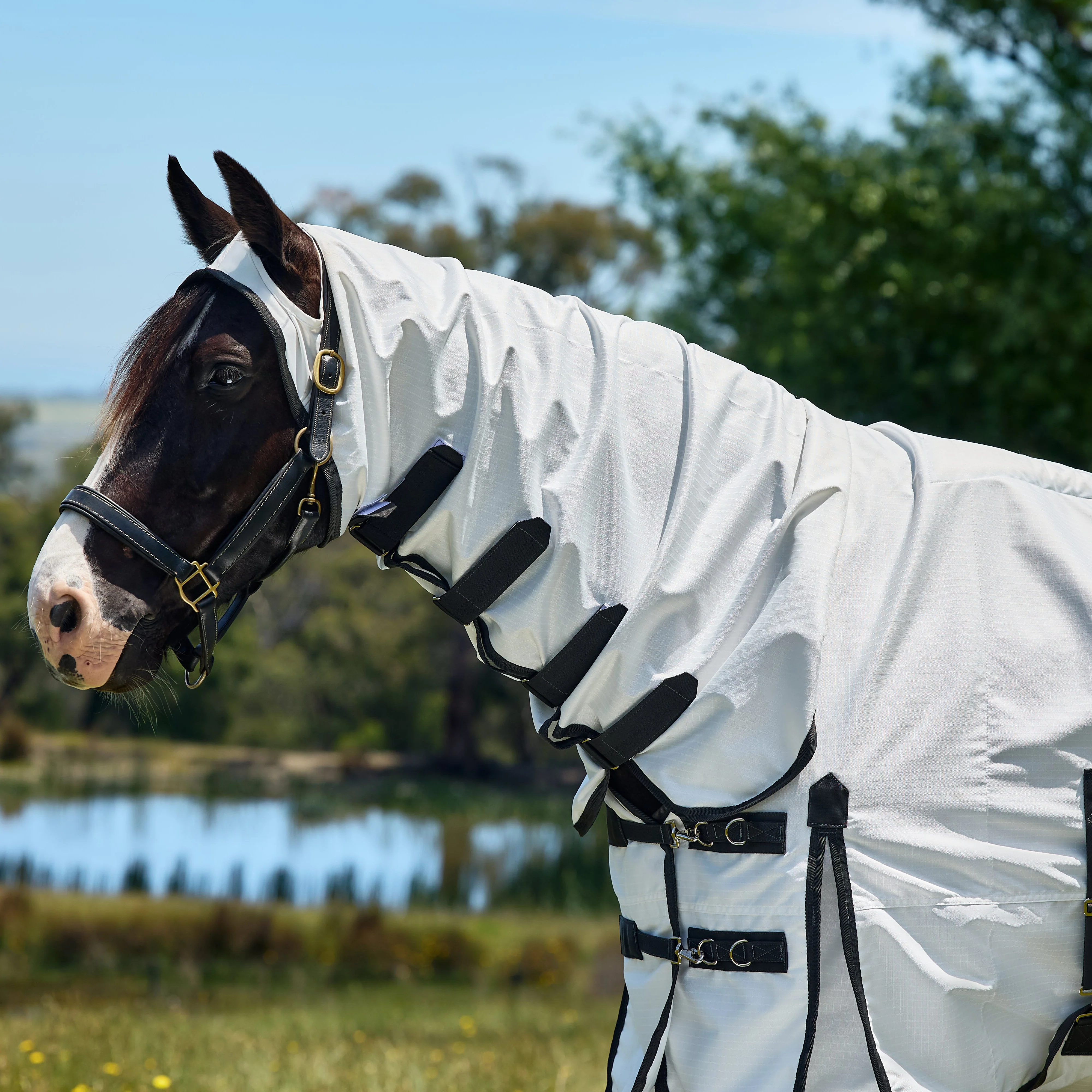 Weatherbeeta Sweet Itch Shield Combo Neck - Image 7