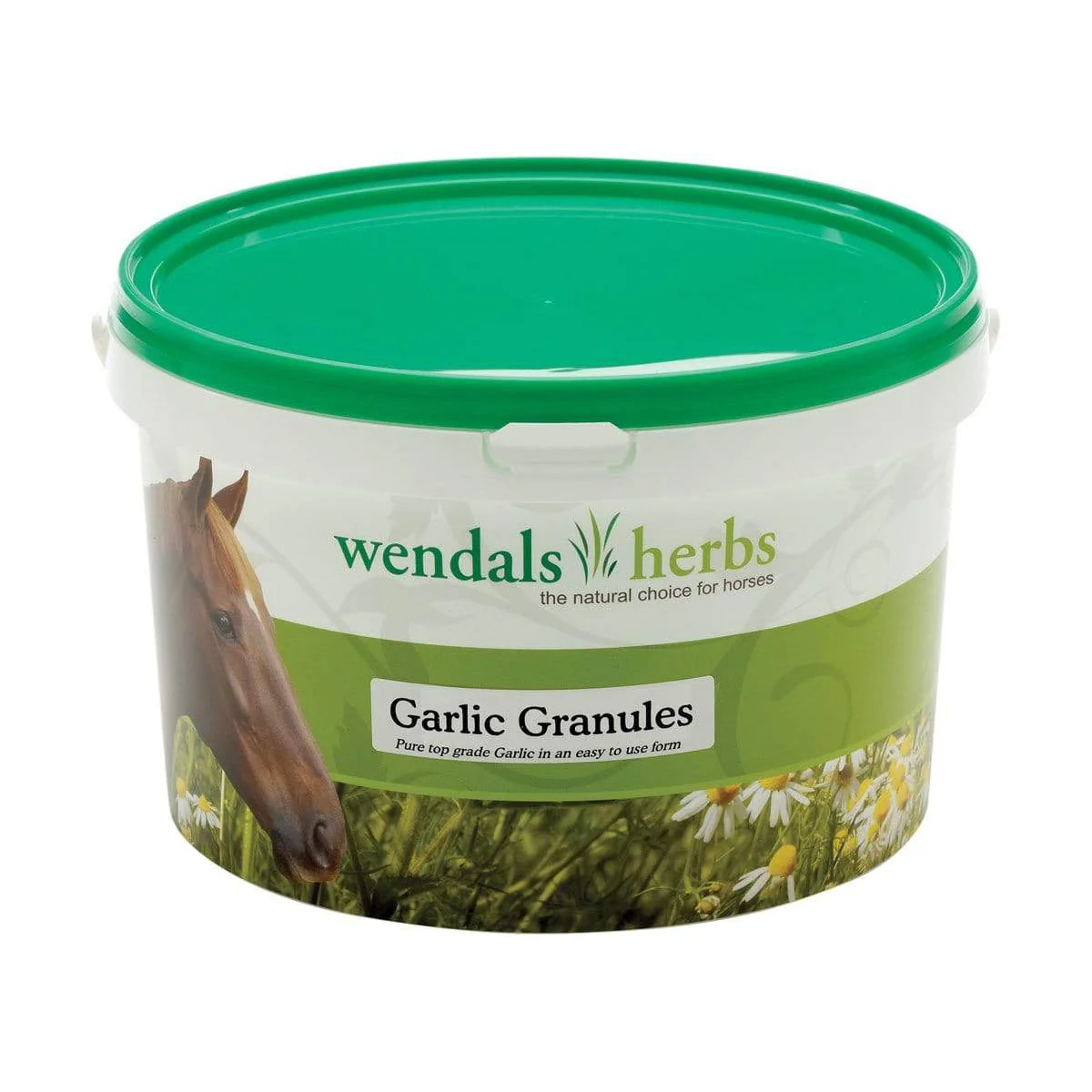 Wendals Herbs Garlic Granules