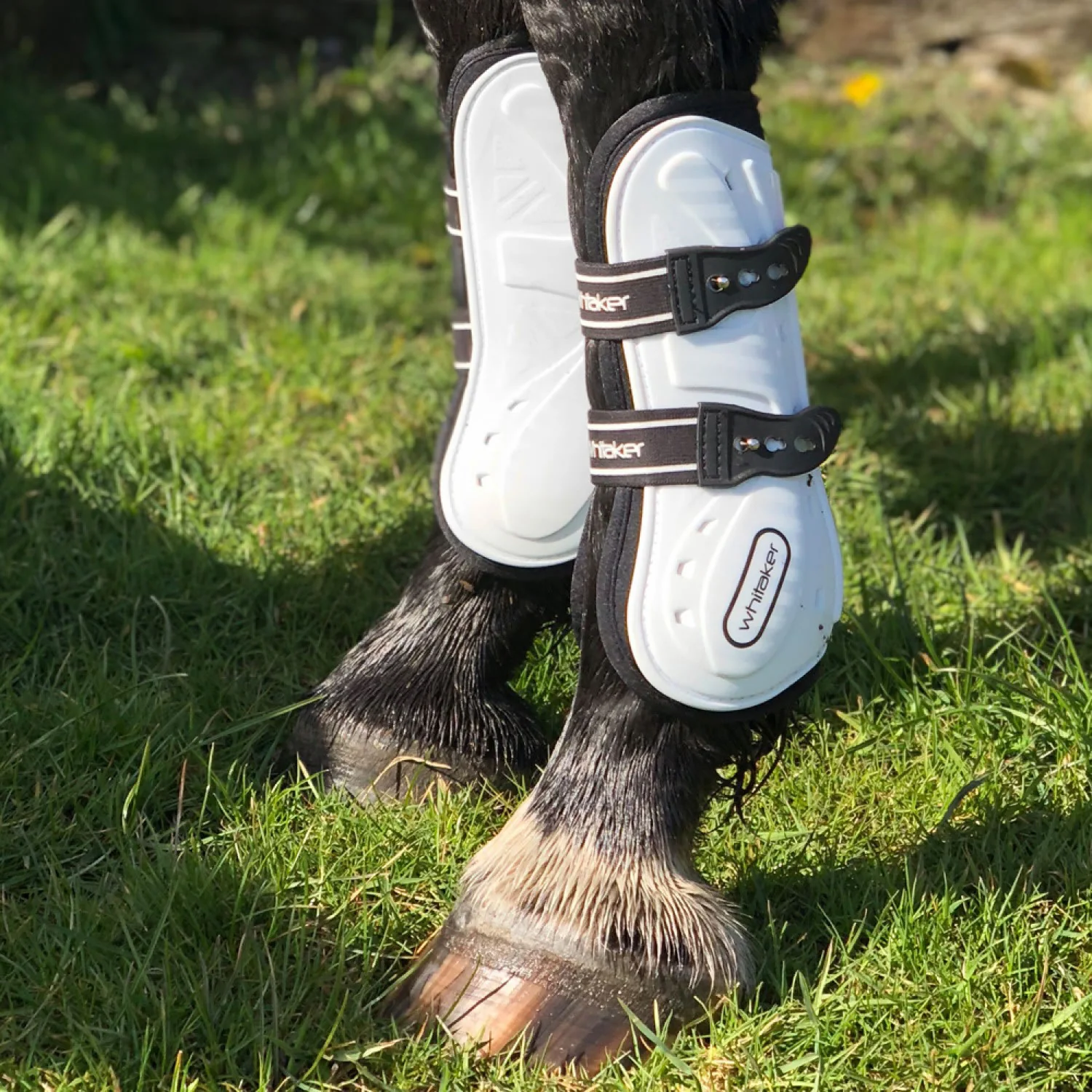 Whitaker Bingley Tendon Boots - Image 4