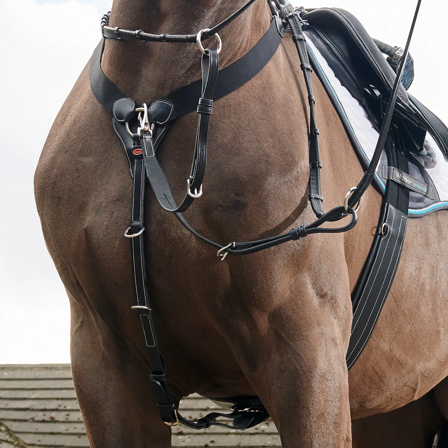 Whitaker Eastwood Elasticated Breastplate - Image 2