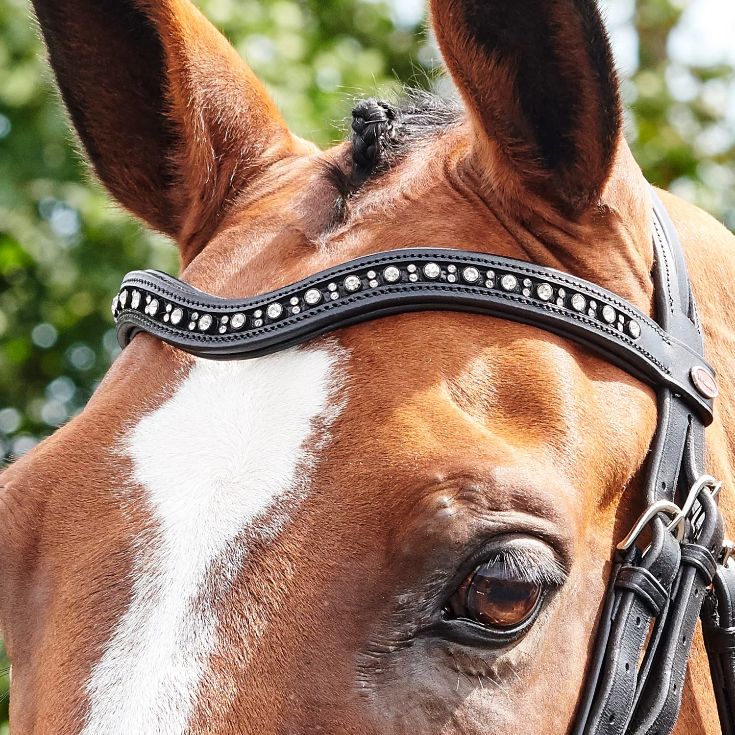 Whitaker Lynton Curved Diamante Browband - Image 2