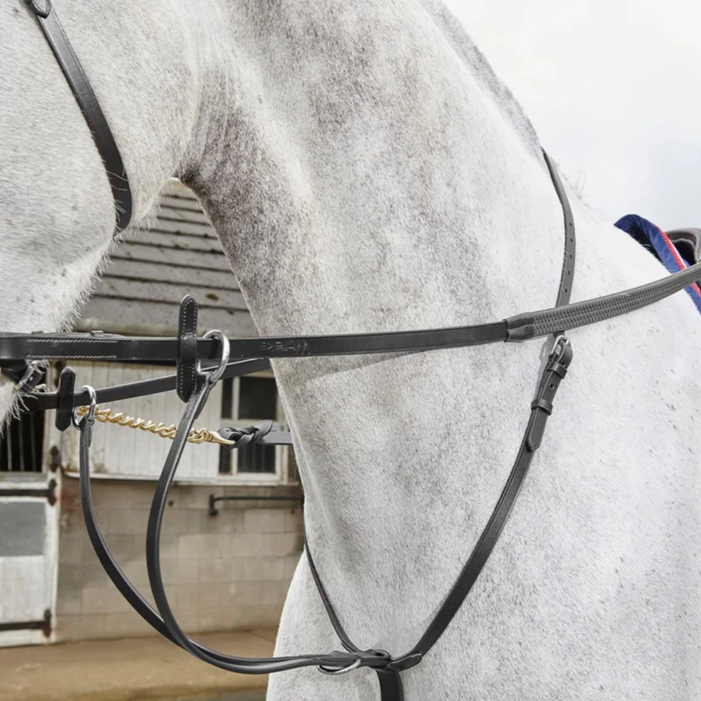 Whitaker Lynton Running Martingale