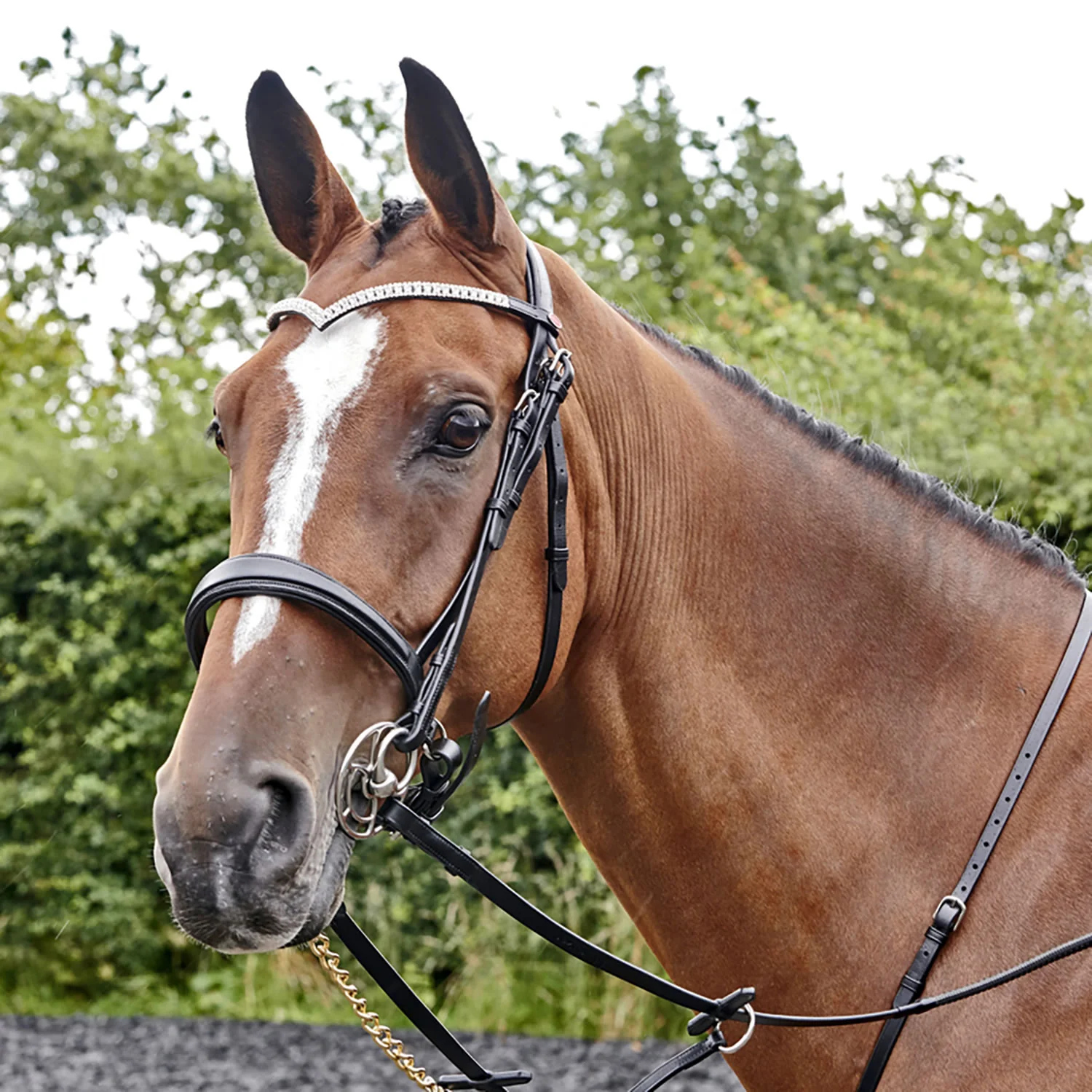 Whitaker Lynton Snaffle Bridle C/W Spare Browband - Image 3