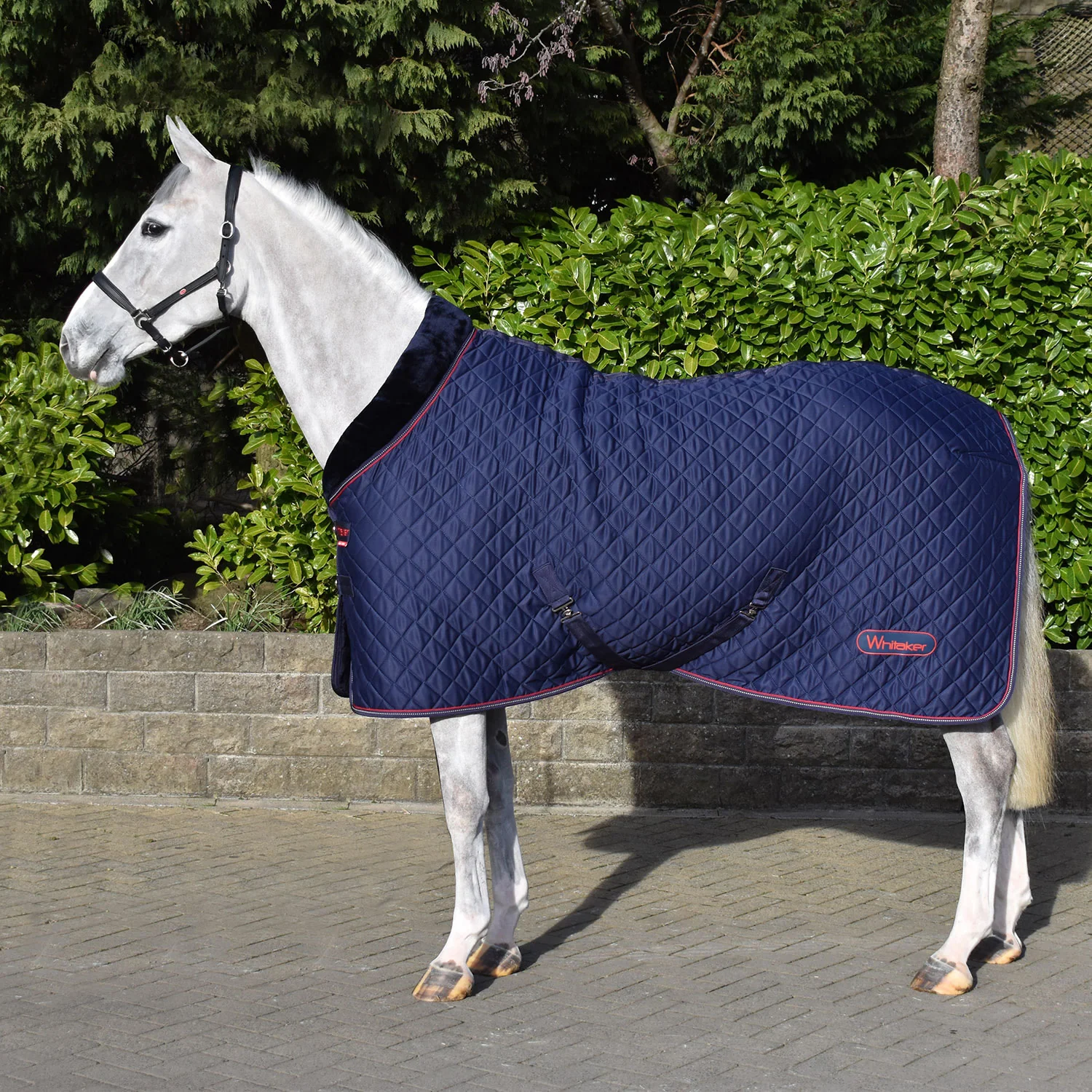 Whitaker Rastrick V2 100g Cosy Rug