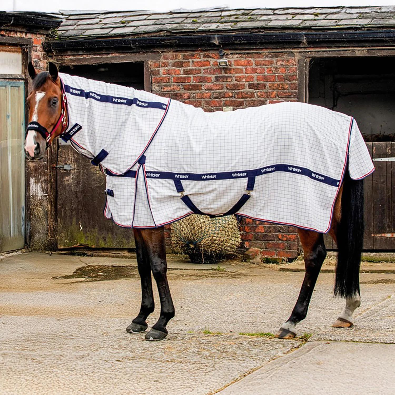 Whitaker Rastrick V2 UV Cool Rug