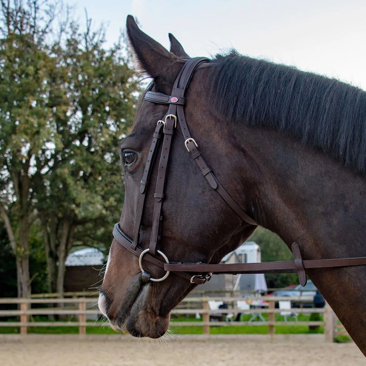 Whitaker Ready To Ride Snaffle Bridle - Image 3