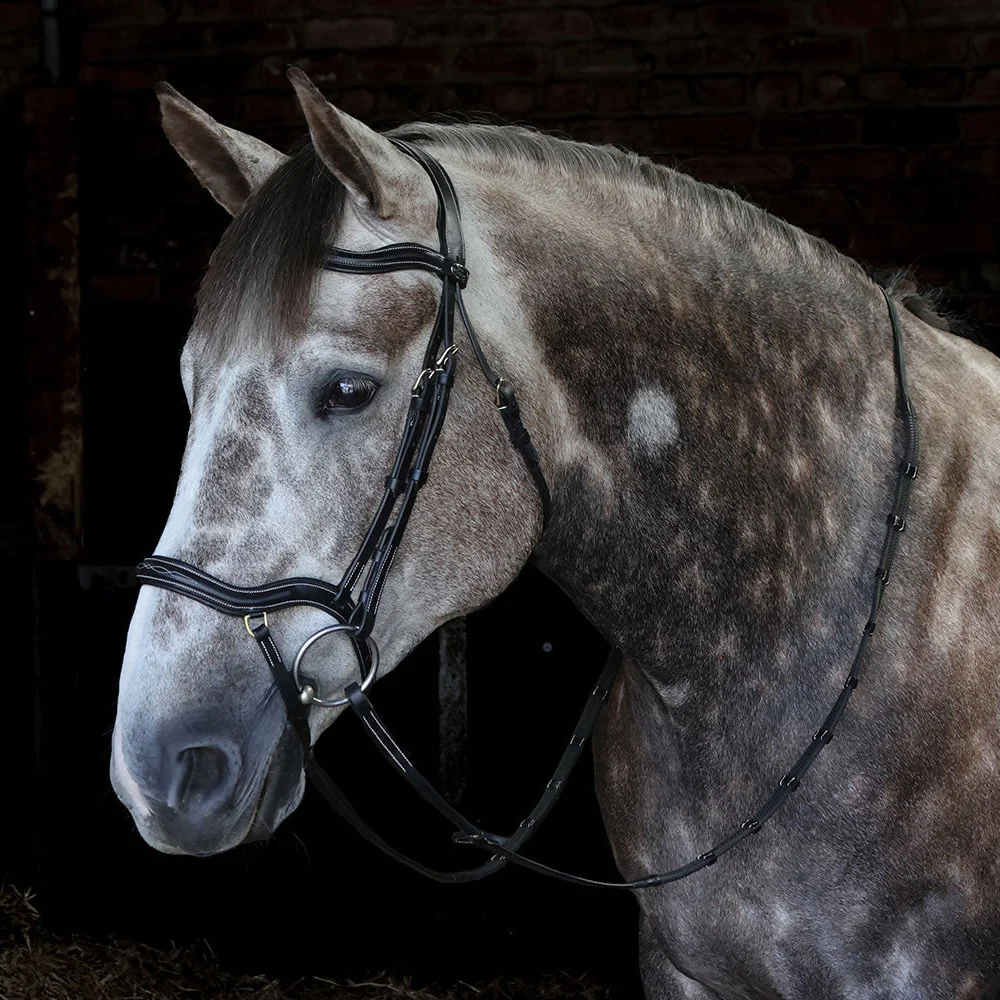Whitaker Stockholm Anatomic Bridle