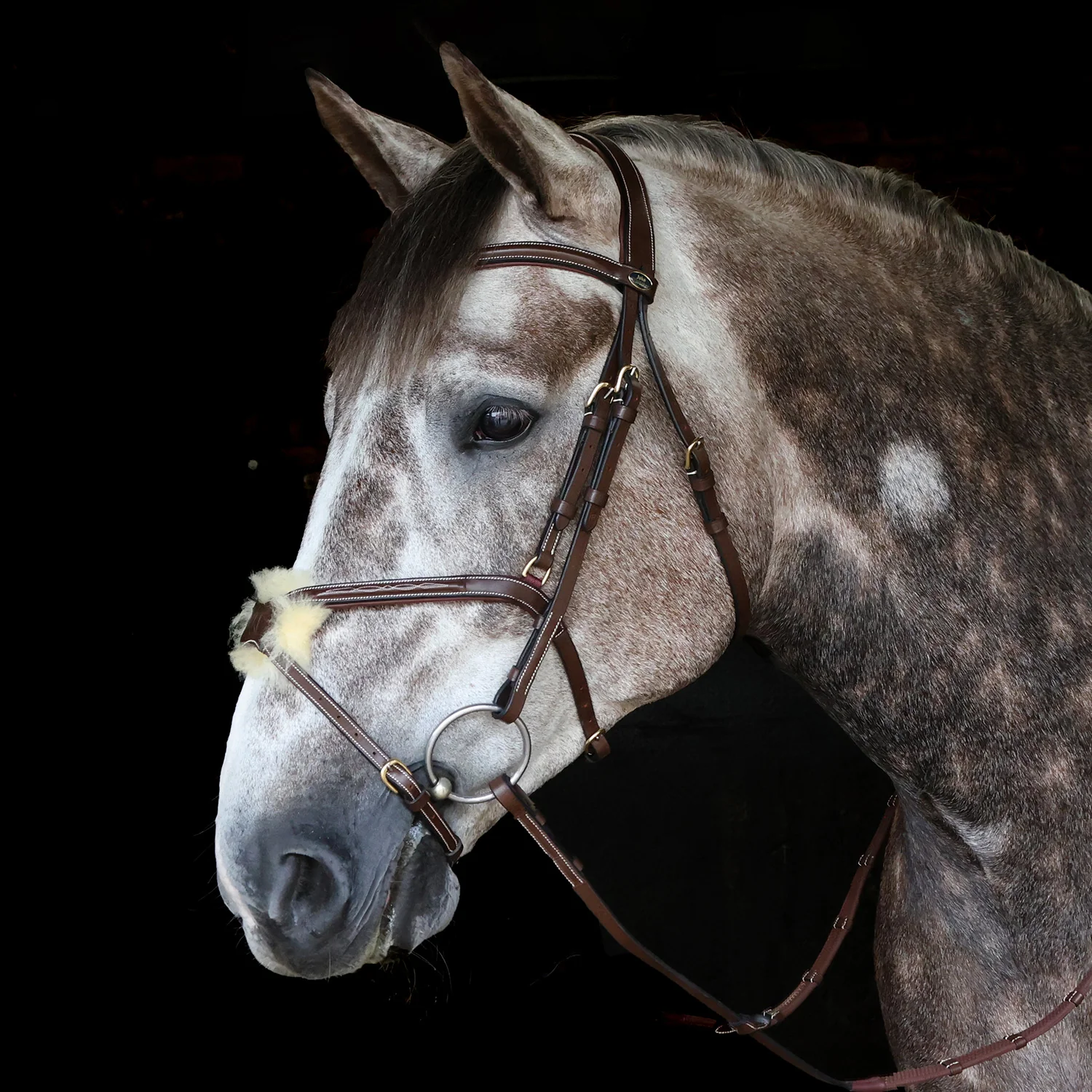 Whitaker Vienna Bridle With Reins - Image 2
