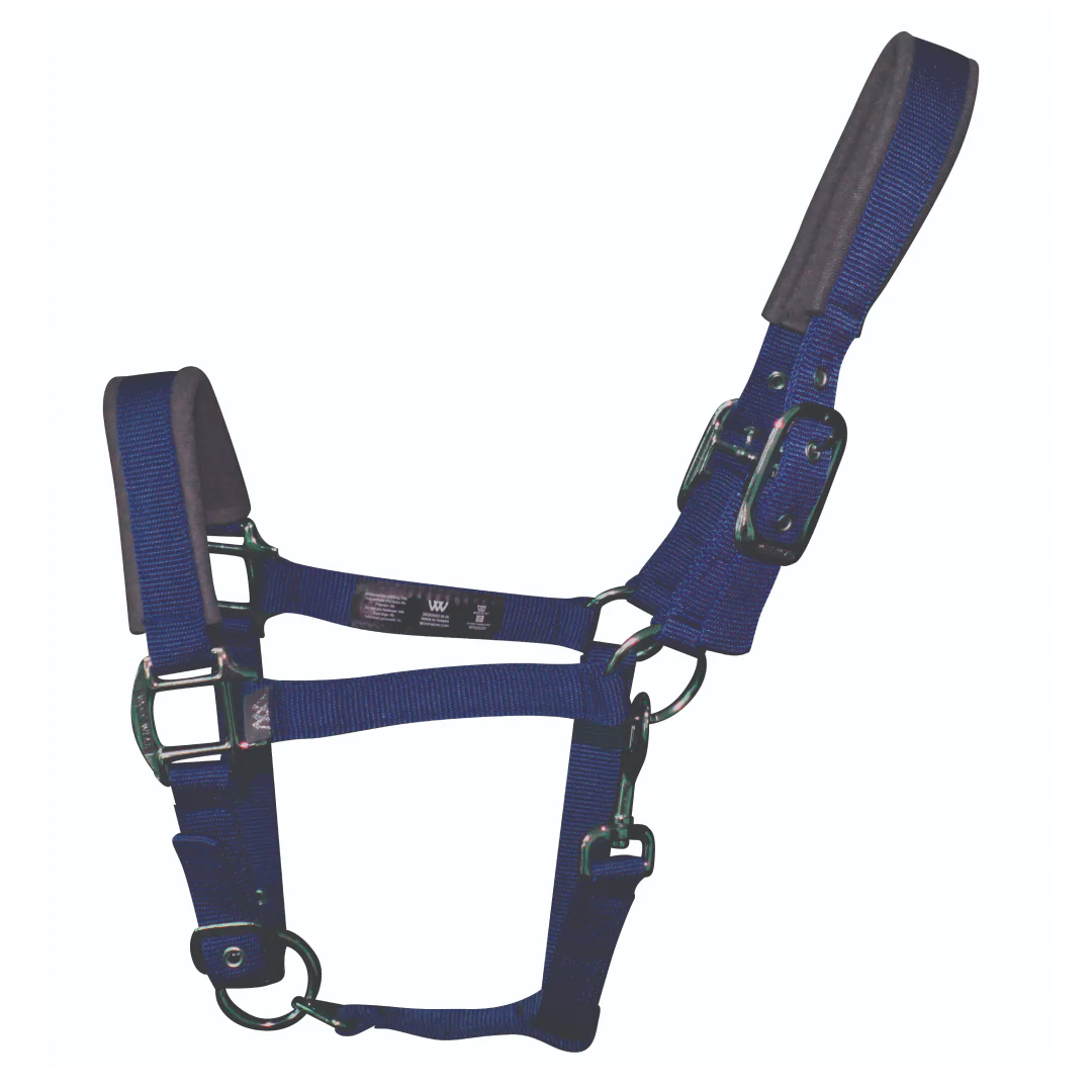 Woof Wear Colour Fusion Contour Headcollar - Image 10