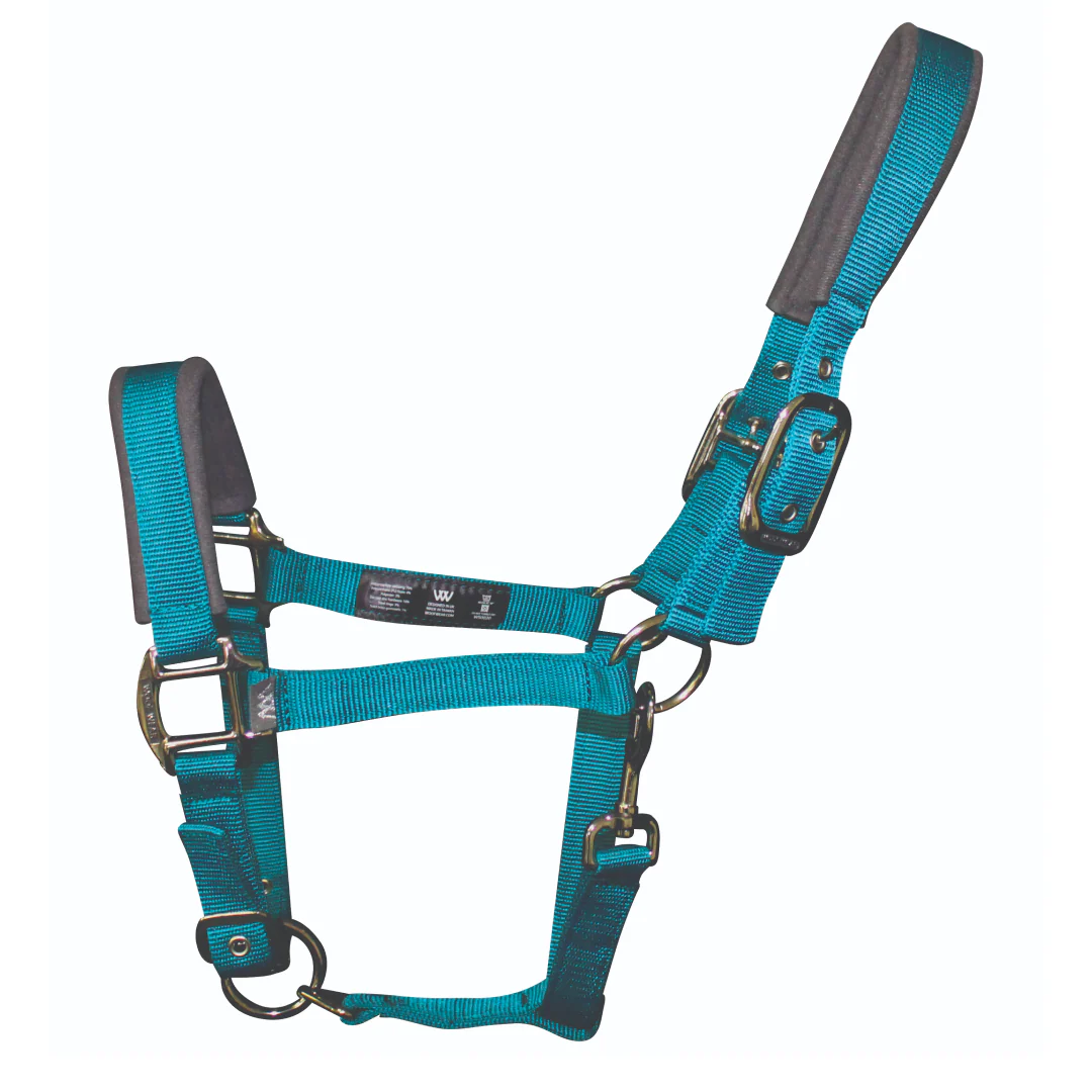Woof Wear Colour Fusion Contour Headcollar - Image 11