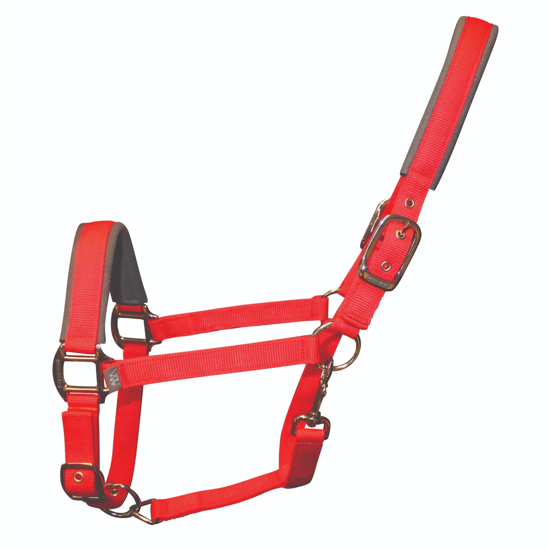 Woof Wear Colour Fusion Contour Headcollar - Image 12