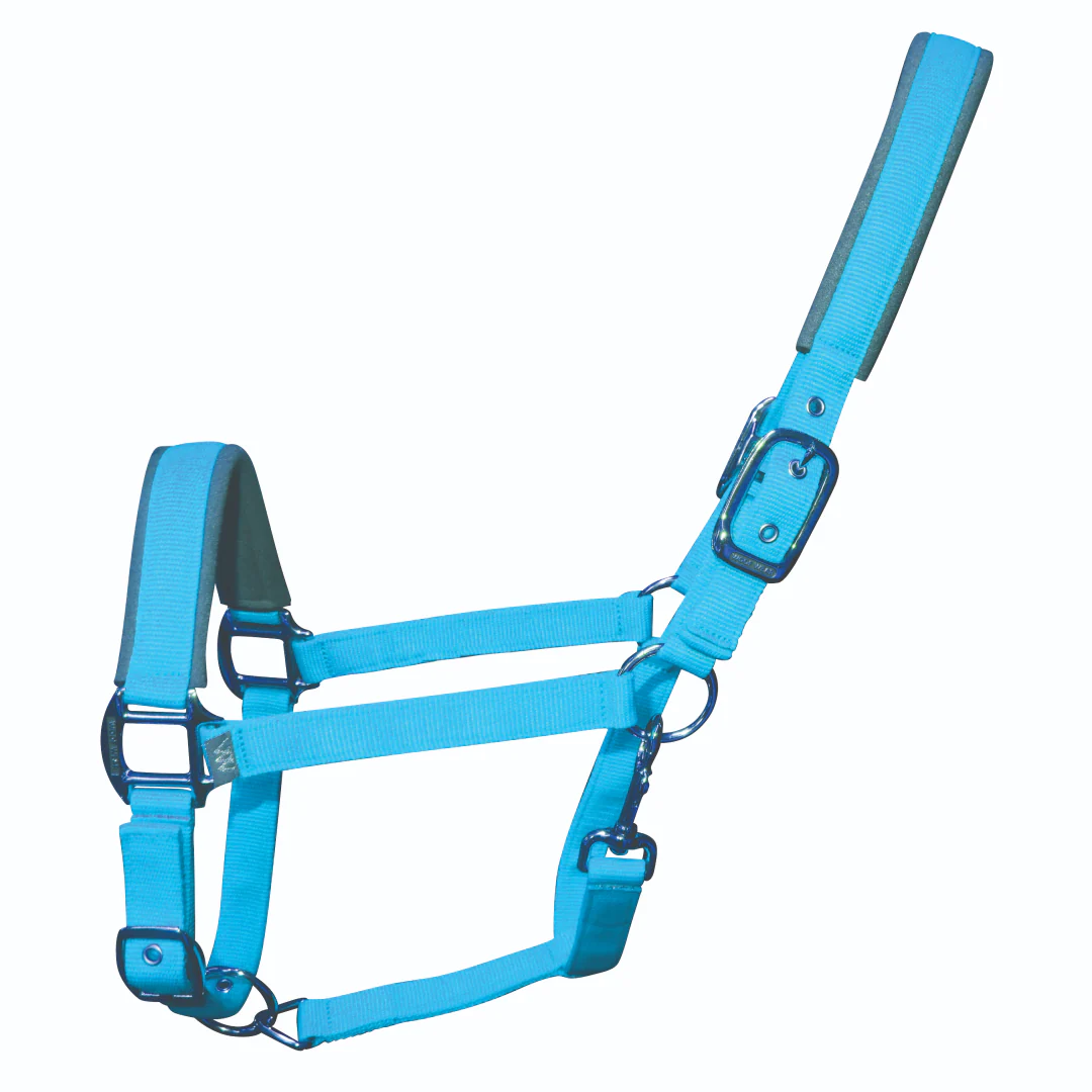 Woof Wear Colour Fusion Contour Headcollar - Image 13
