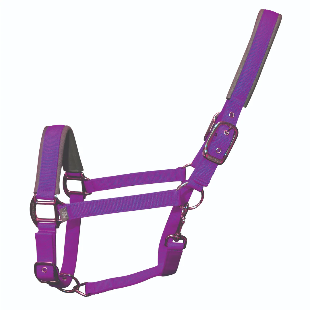 Woof Wear Colour Fusion Contour Headcollar - Image 14