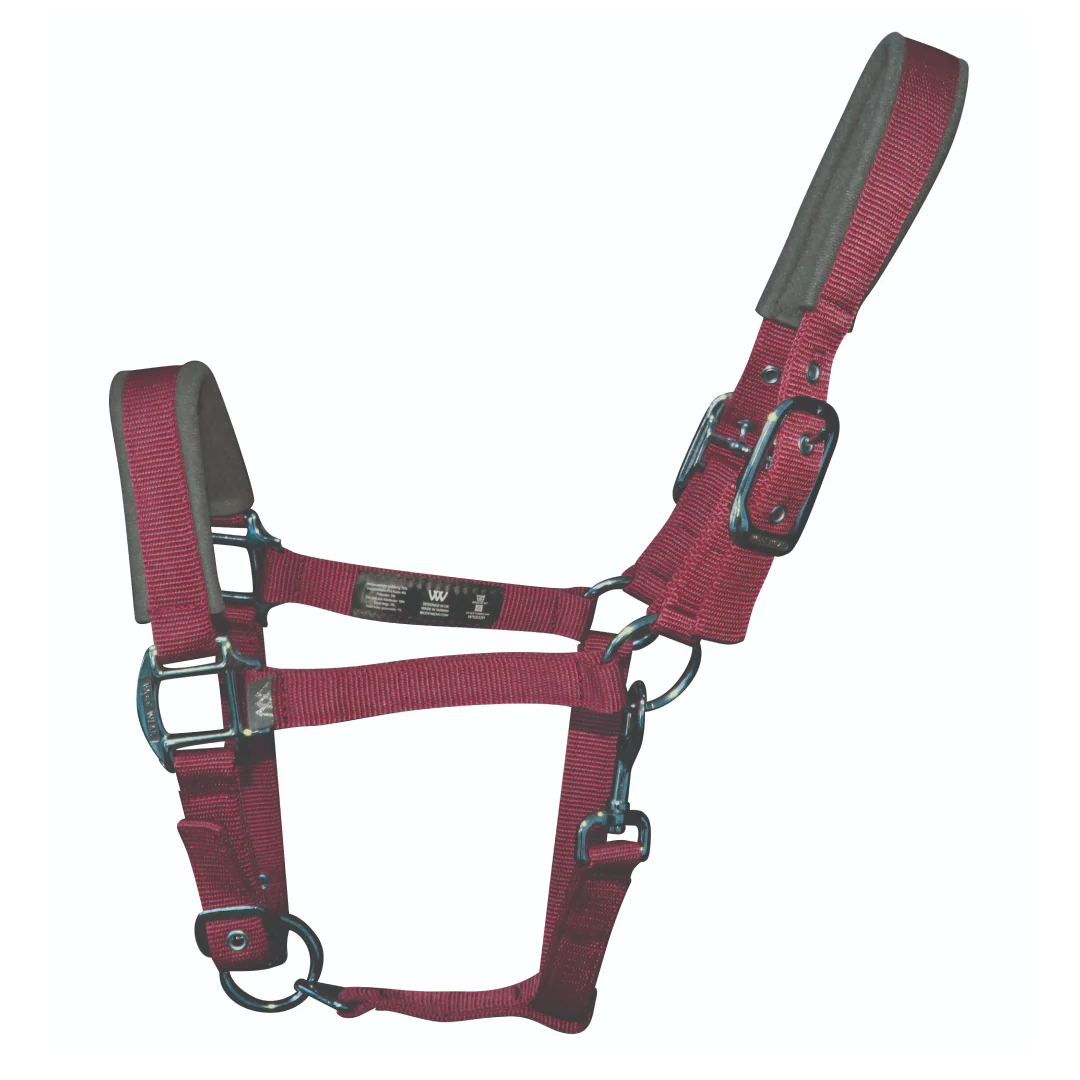 Woof Wear Colour Fusion Contour Headcollar - Image 3