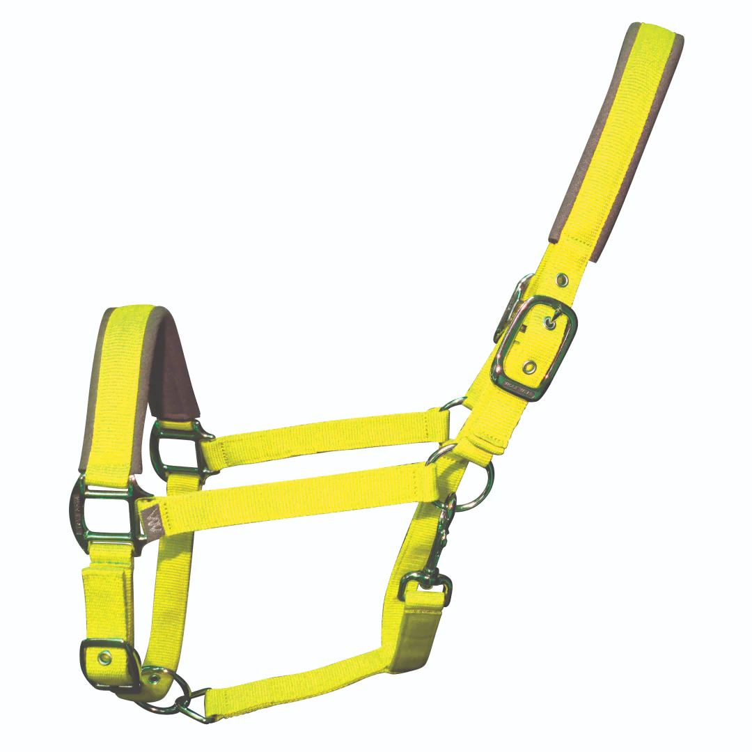 Woof Wear Colour Fusion Contour Headcollar - Image 4