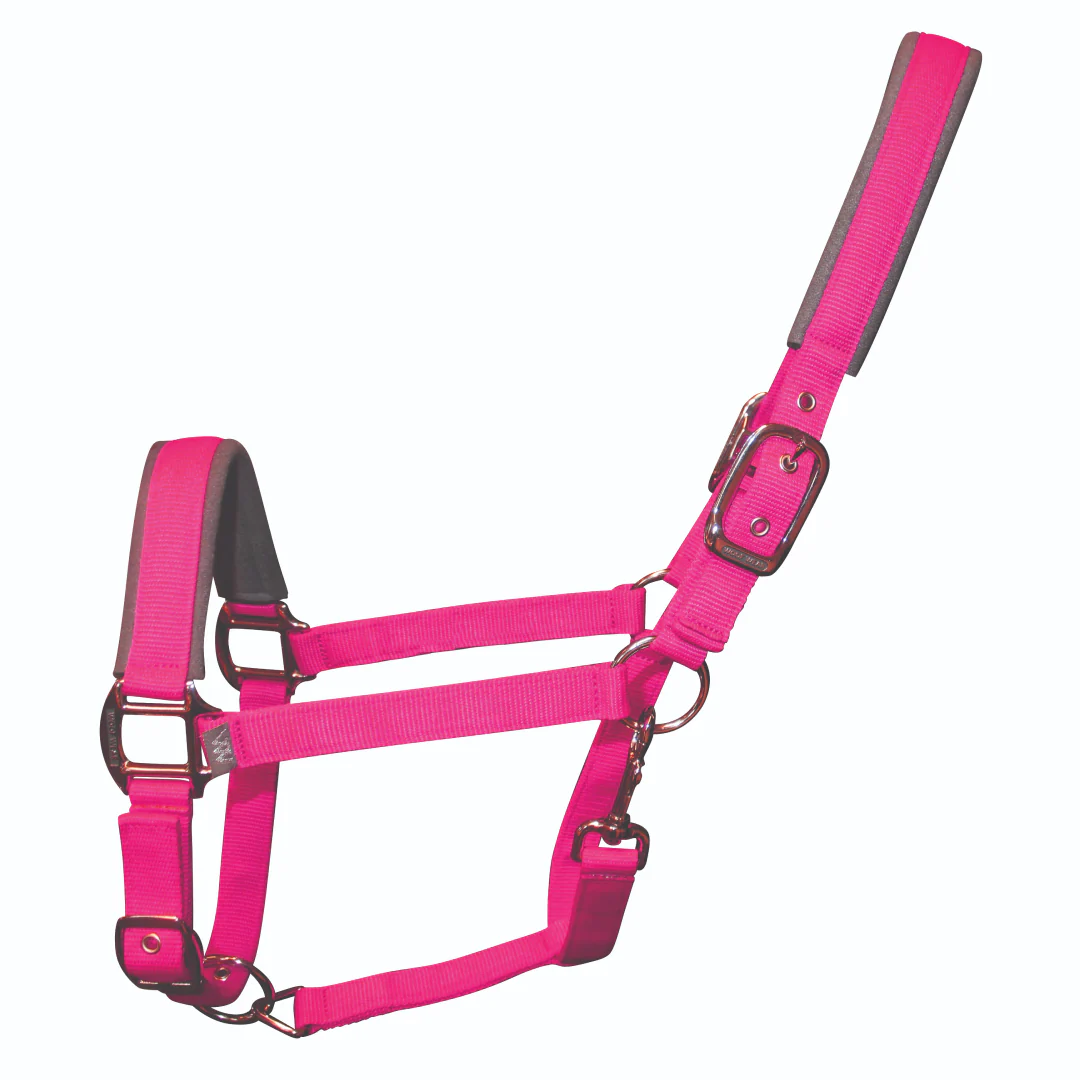 Woof Wear Colour Fusion Contour Headcollar - Image 5