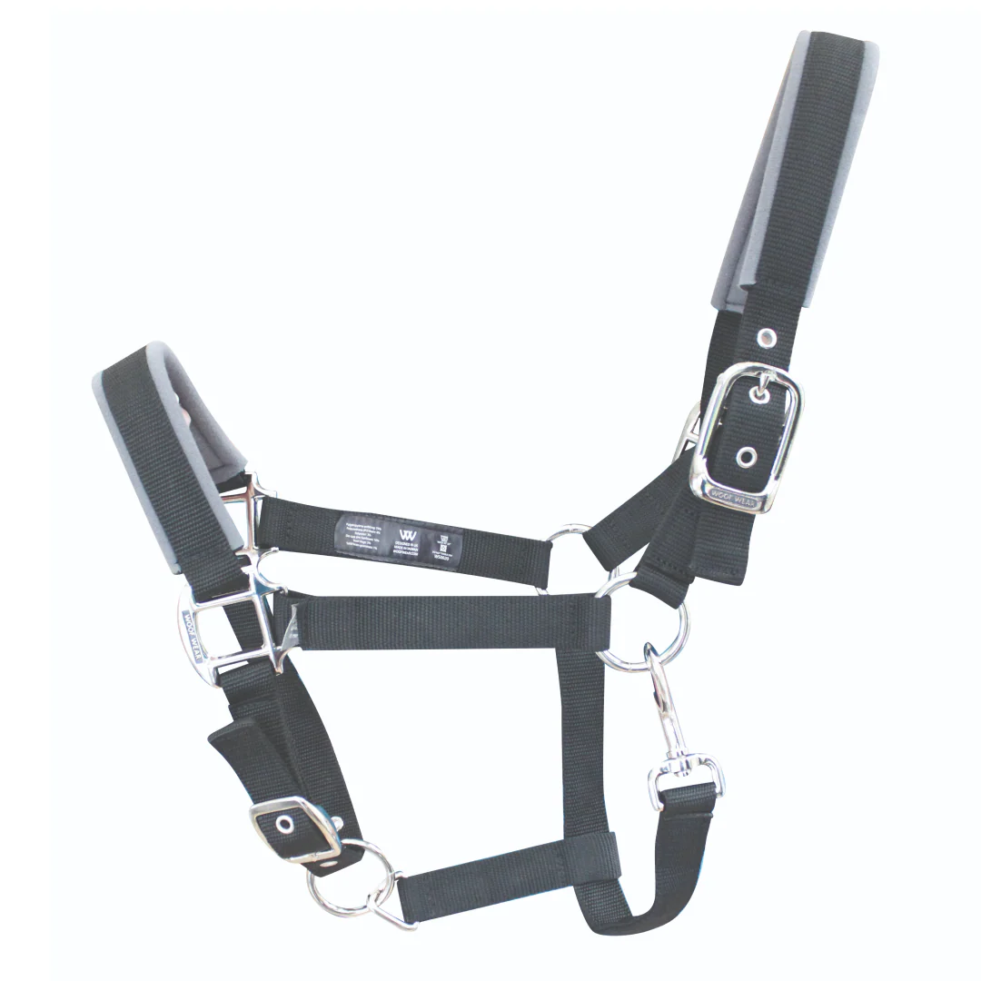 Woof Wear Colour Fusion Contour Headcollar - Image 6