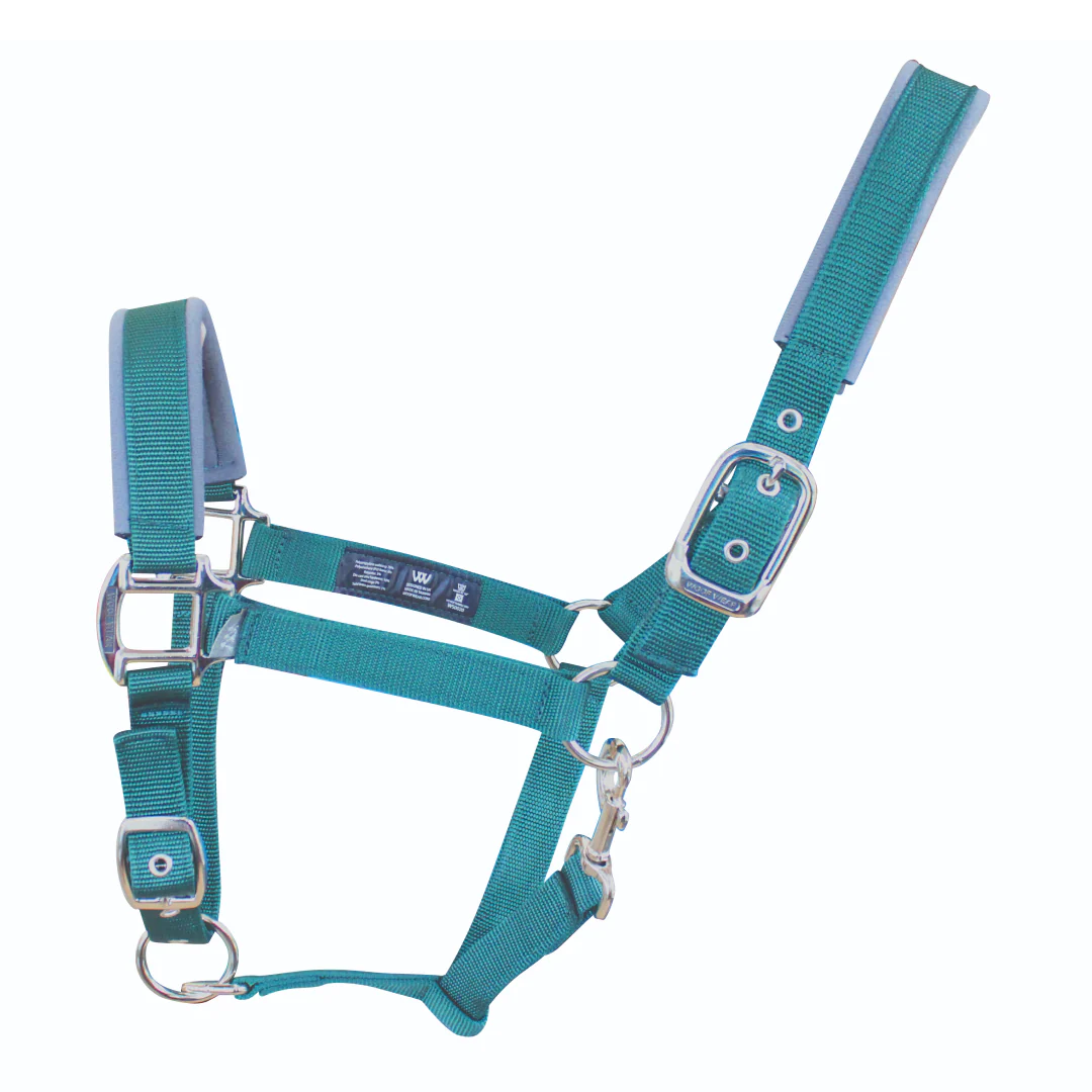 Woof Wear Colour Fusion Contour Headcollar - Image 7