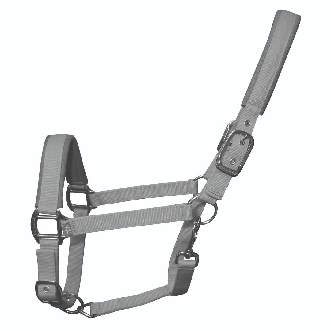 Woof Wear Colour Fusion Contour Headcollar - Image 8