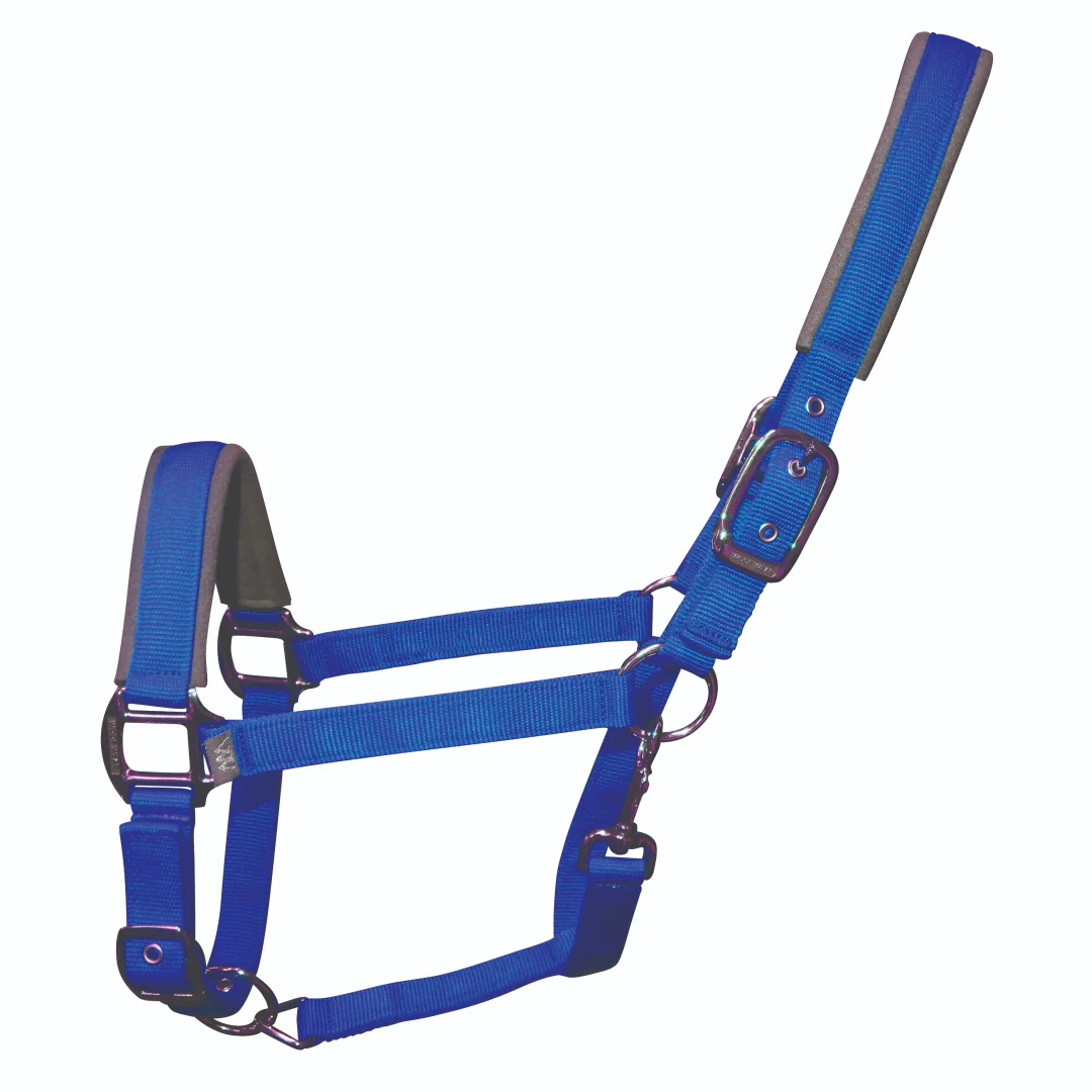 Woof Wear Colour Fusion Contour Headcollar - Image 9