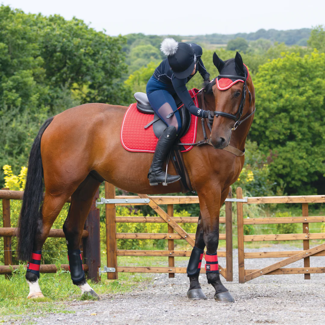 Woof Wear Colour Fusion Dressage Saddlecloth - Image 13