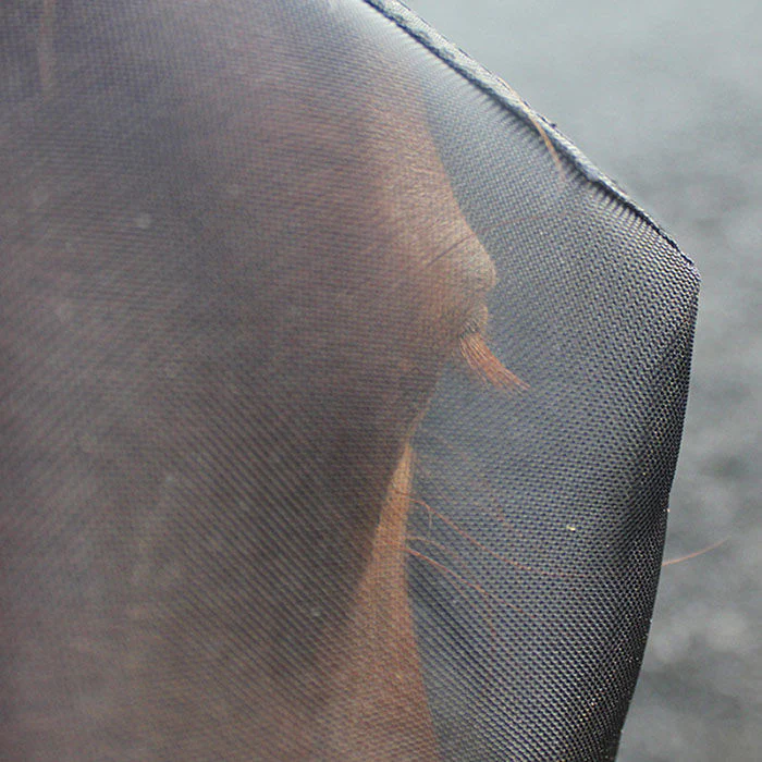 Woof Wear UV Fly Mask with Ears - Image 3