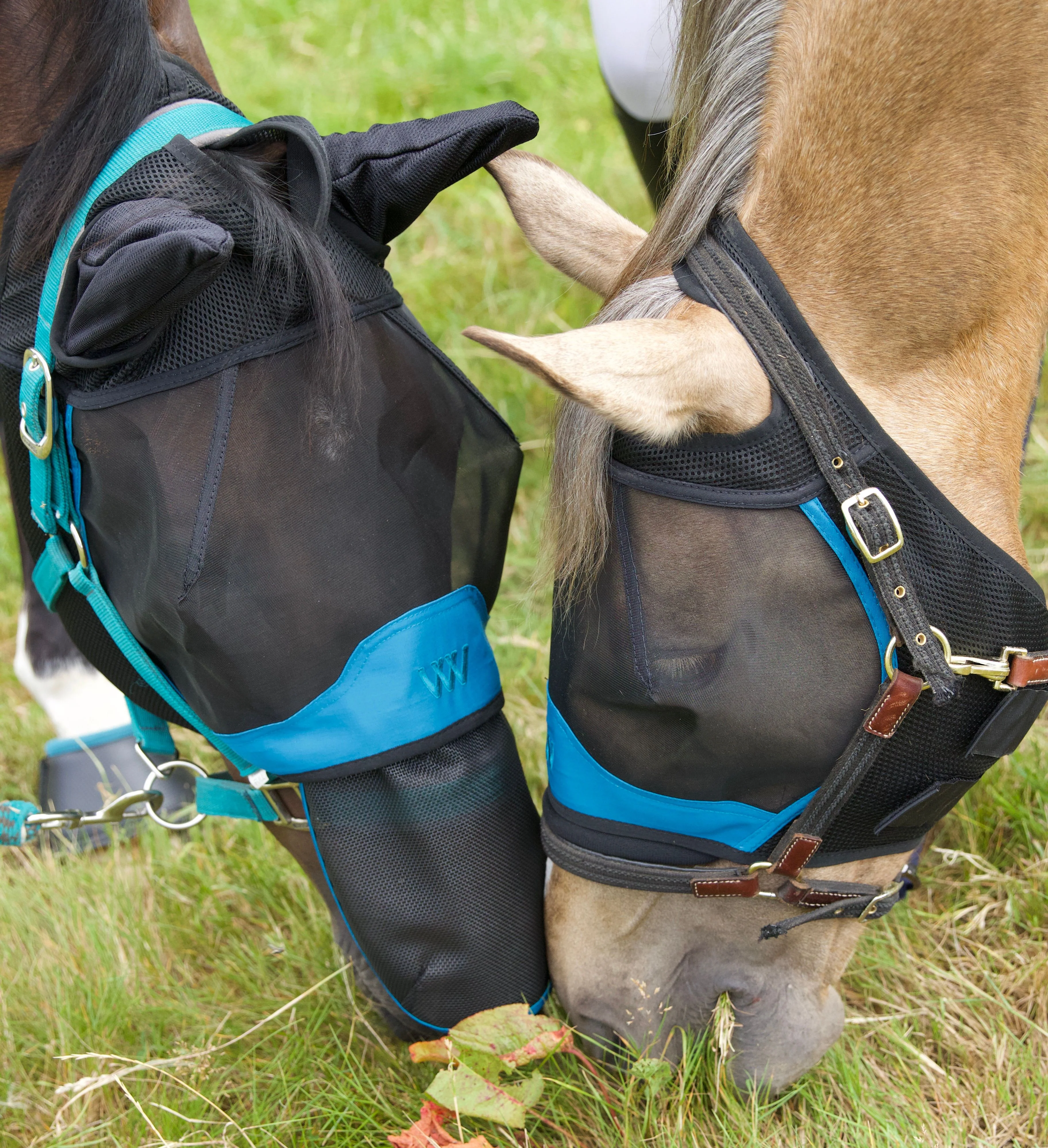 Woof Wear UV Nose Protector - Image 3