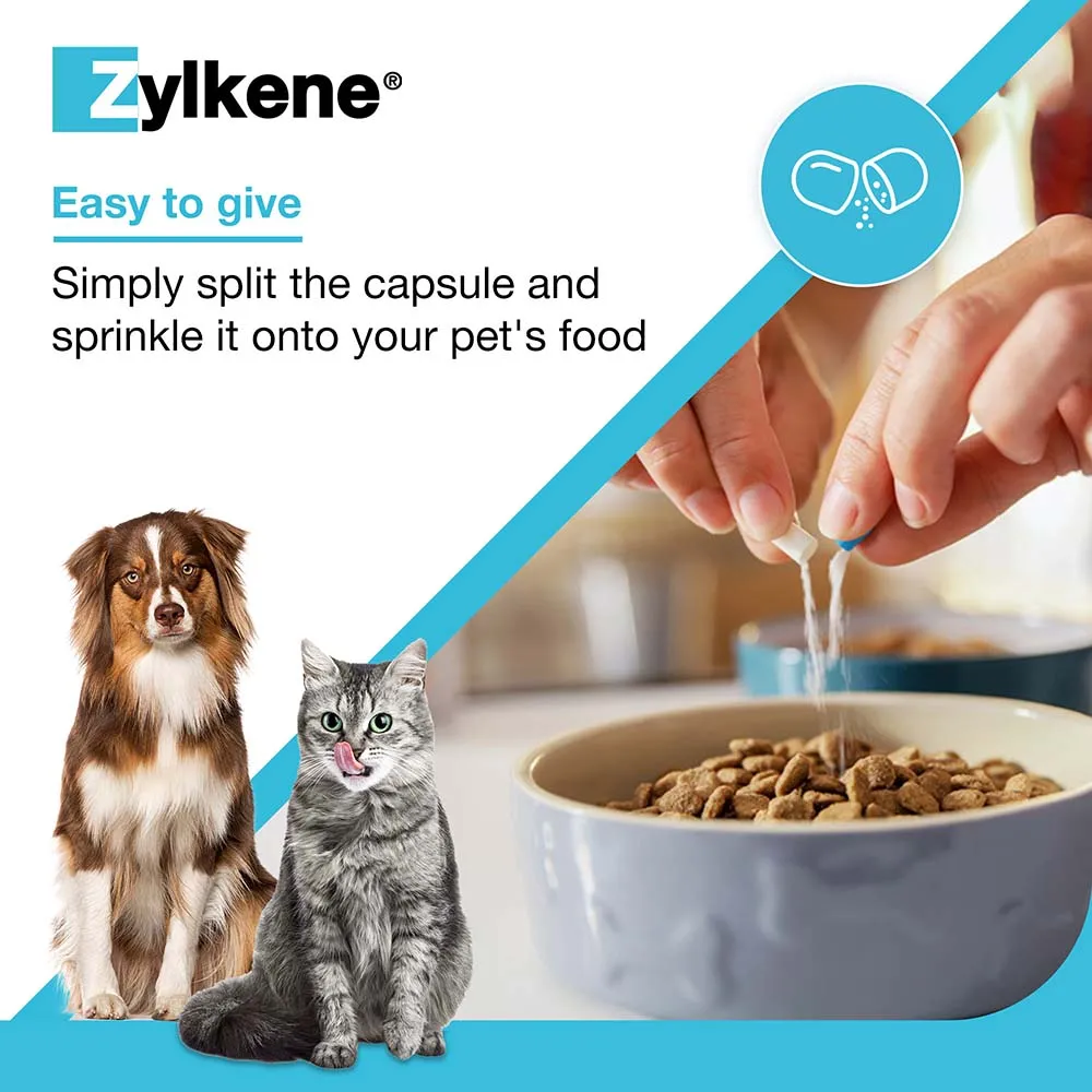Zylkene Behavioural Support 20 caps - Image 11