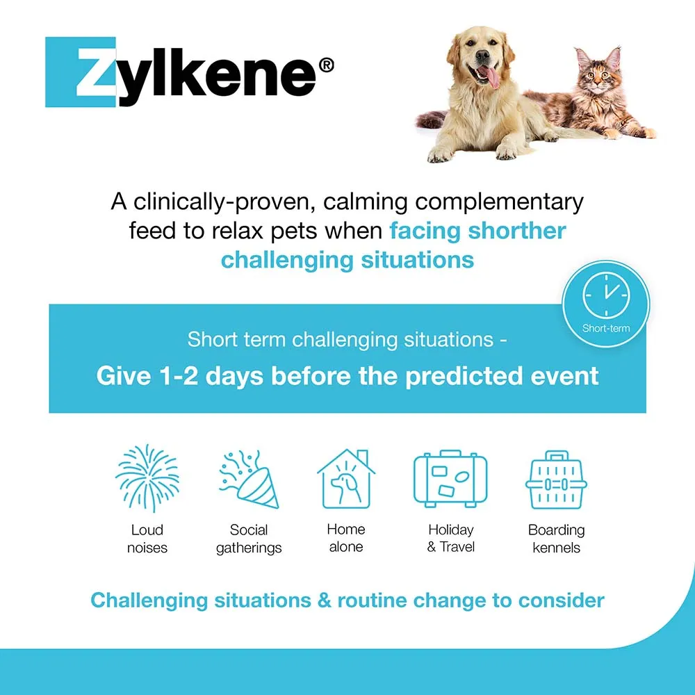 Zylkene Behavioural Support 20 caps - Image 12