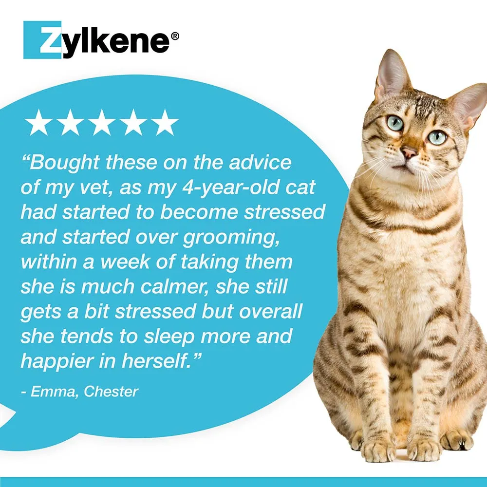 Zylkene Behavioural Support 20 caps - Image 15