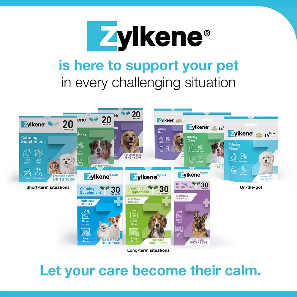Zylkene Behavioural Support 20 caps - Image 16