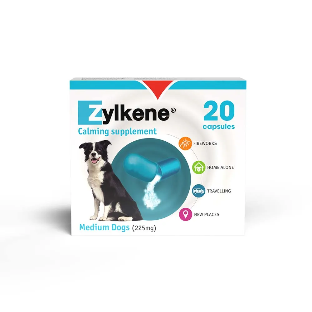 Zylkene Behavioural Support 20 caps - Image 2