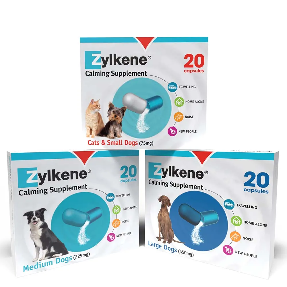 Zylkene Behavioural Support 20 caps - Image 4