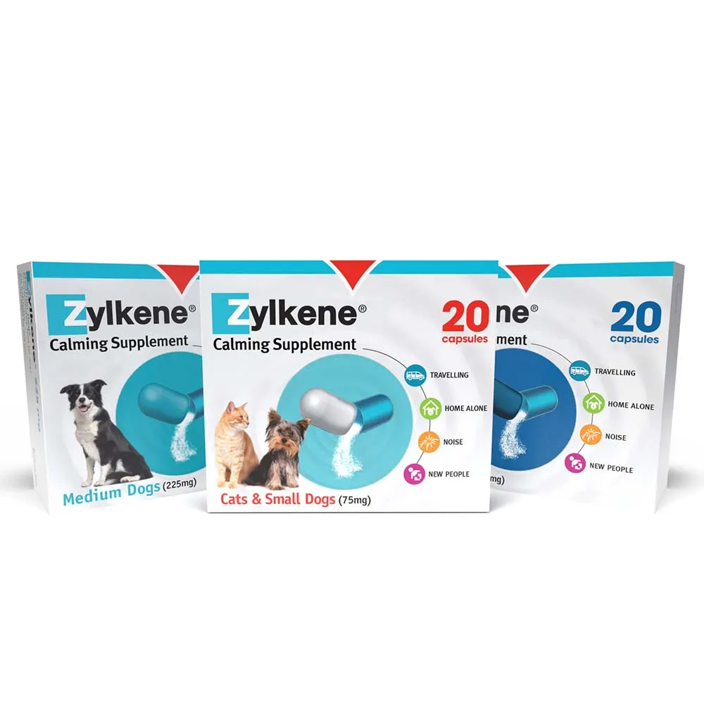 Zylkene Behavioural Support 20 caps - Image 5