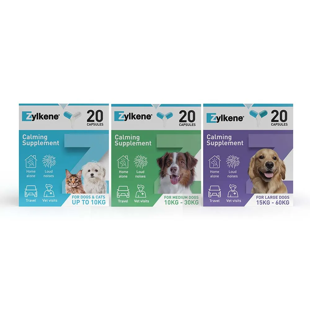 Zylkene Behavioural Support 20 caps - Image 6